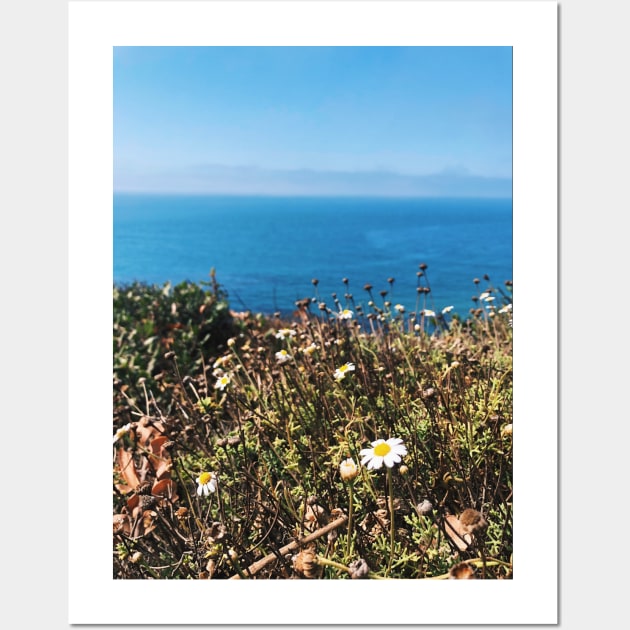 Tiny Daisies by Seaside Cliffs Wall Art by offdutyplaces